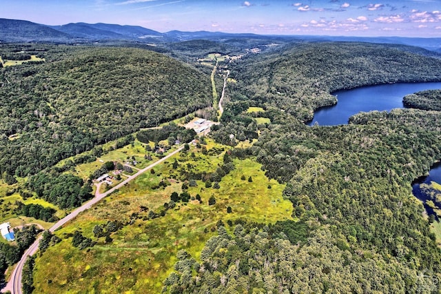 drone / aerial view featuring a water and mountain view