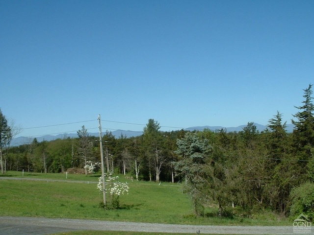 view of local wilderness