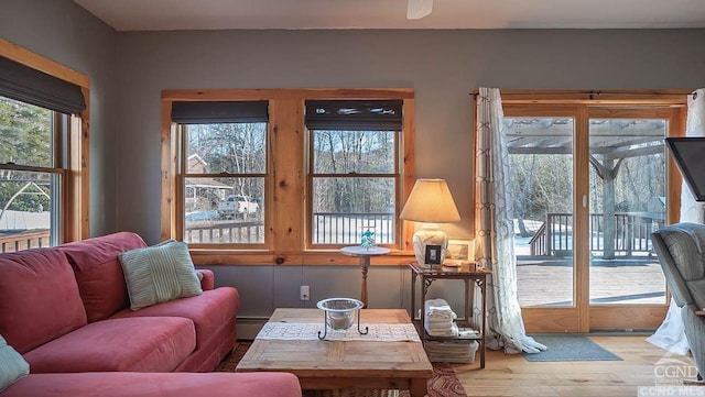 living room with light hardwood / wood-style floors and a baseboard heating unit