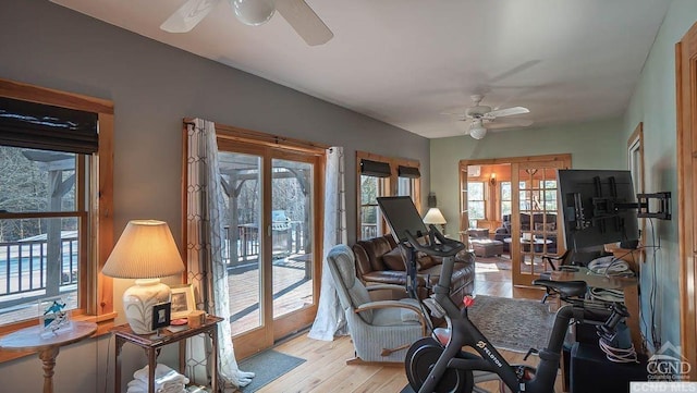 exercise area featuring french doors, light hardwood / wood-style floors, and ceiling fan