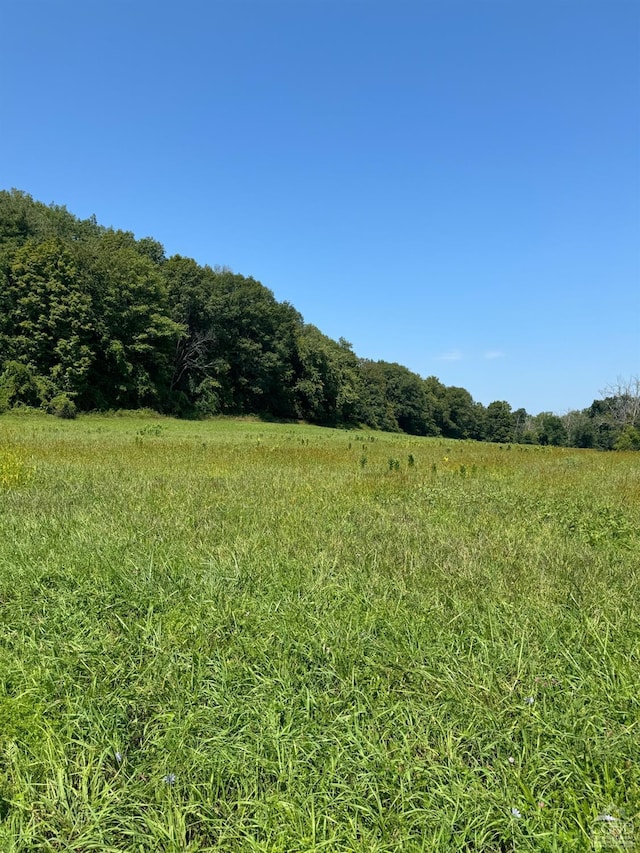 Listing photo 3 for 0LOT5B Empire Rd, Copake NY 12516