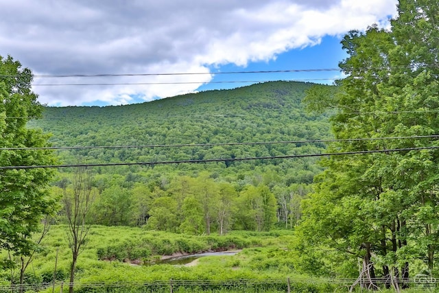 view of mountain feature