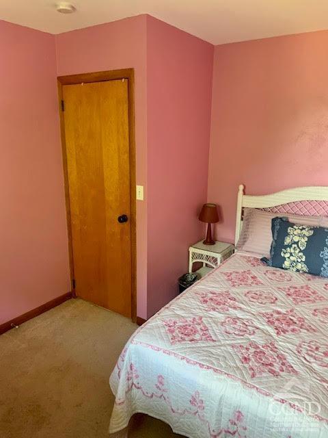 bedroom with carpet flooring and a closet