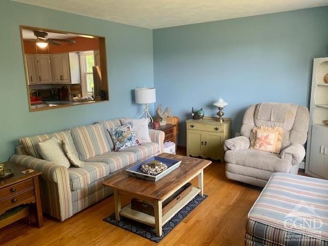 living room featuring ceiling fan and light hardwood / wood-style flooring