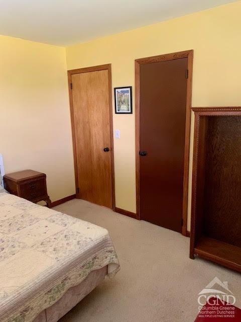 carpeted bedroom featuring a closet