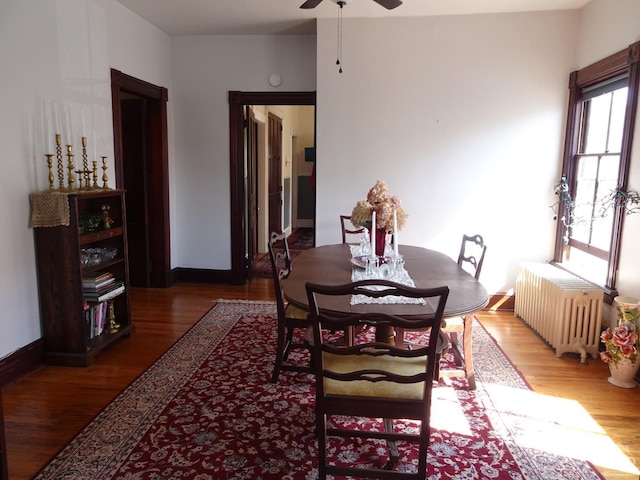 dining area with radiator, light wood finished floors, and ceiling fan