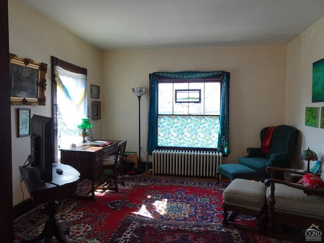 living area featuring radiator