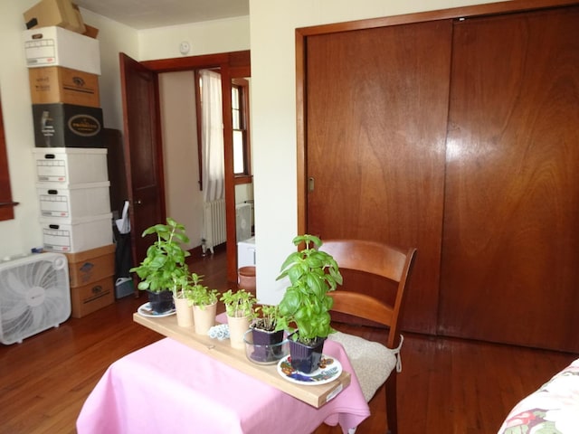dining room with wood finished floors and radiator
