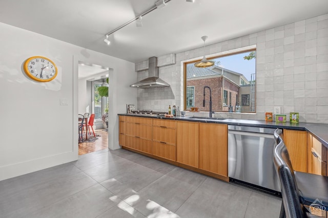 kitchen with backsplash, sink, rail lighting, wall chimney exhaust hood, and stainless steel appliances