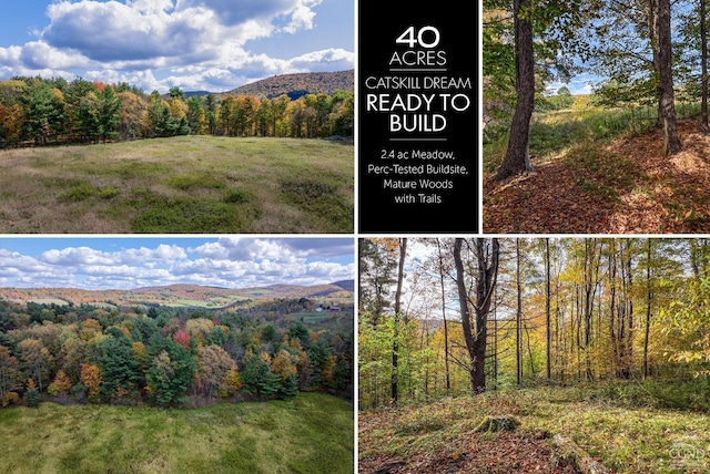 0 Elk Creek Rd, East Meredith NY, 13806 land for sale