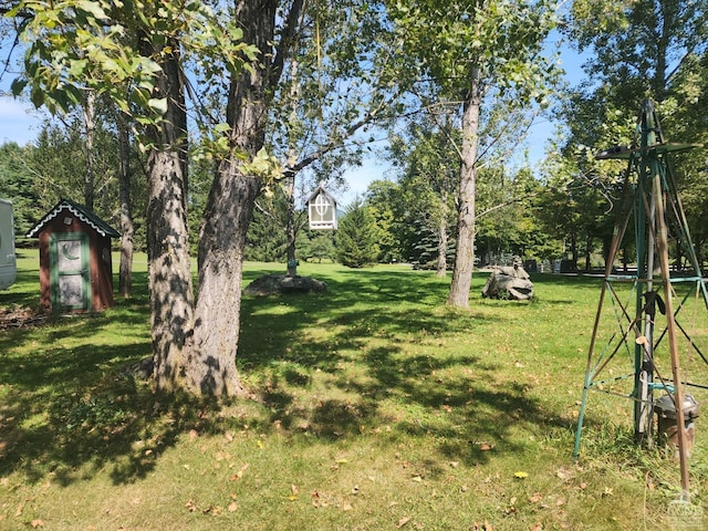 view of yard featuring a shed