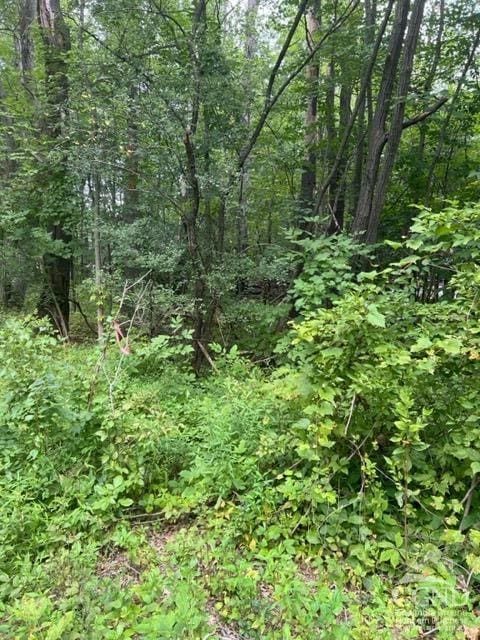 15 Ambassador Ct, Athens NY, 12015 land for sale