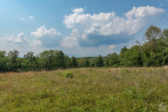 view of local wilderness featuring a rural view