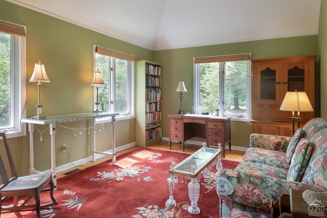 interior space with a wealth of natural light, hardwood / wood-style floors, and lofted ceiling