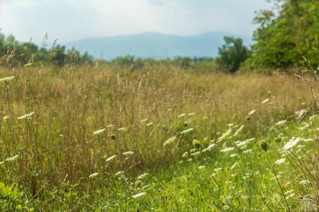 view of nature with a mountain view