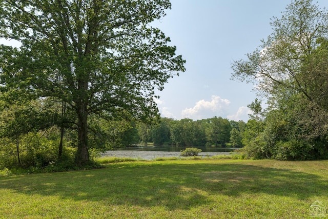 view of yard with a water view