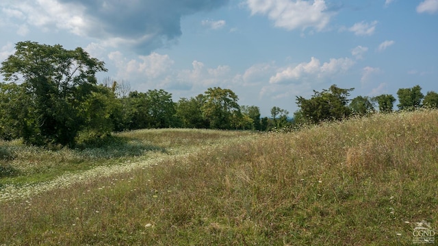 view of nature featuring a rural view