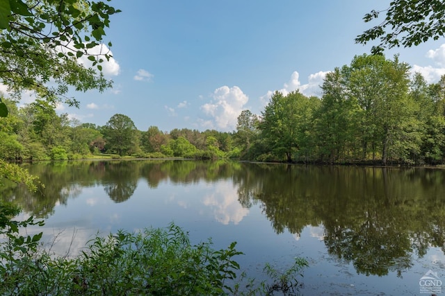 property view of water