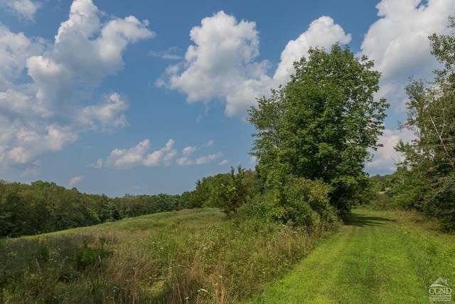 view of landscape