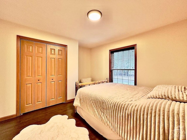 bedroom featuring dark wood-type flooring