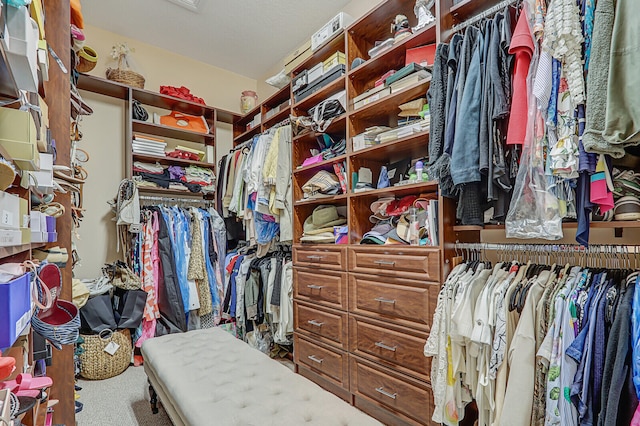 spacious closet with carpet