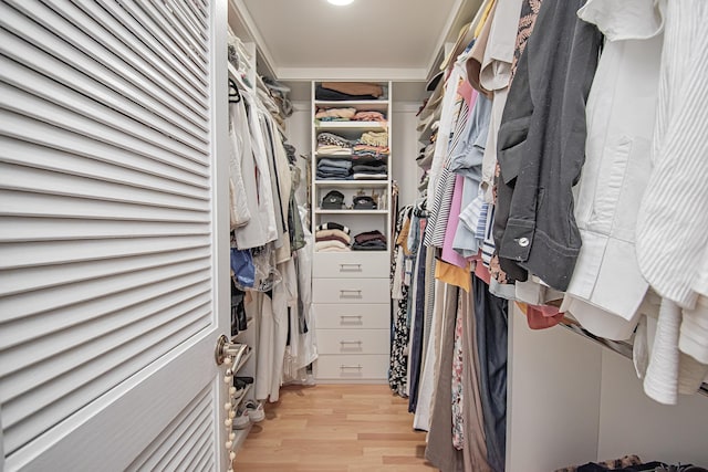 3961 NW 27th Ave, Boca Raton, FL 33434 - walk in closet with light wood finished floors