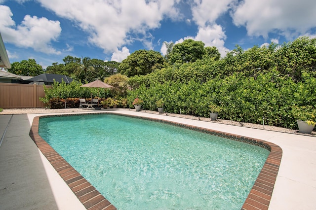 3961 NW 27th Ave, Boca Raton, FL 33434 - view of pool featuring a patio area
