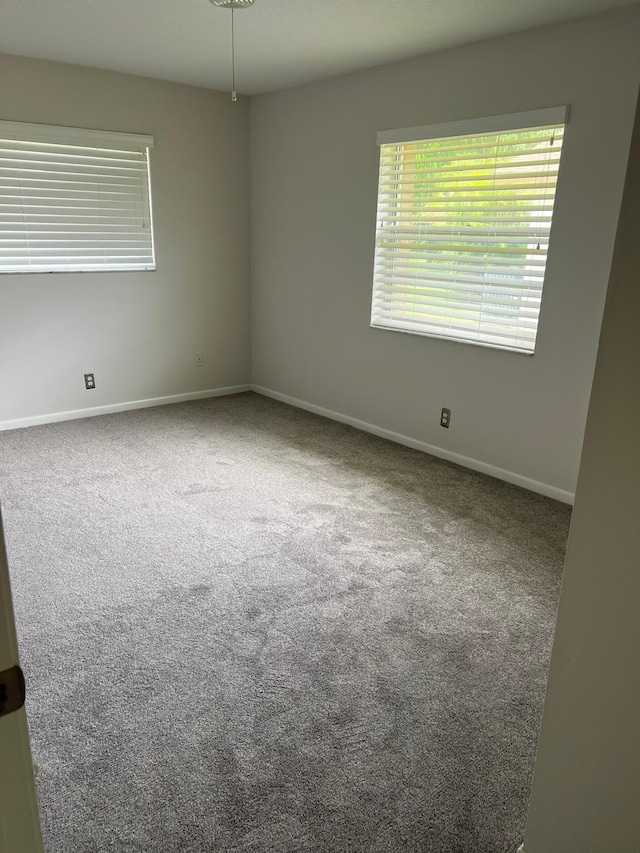 unfurnished room featuring carpet floors