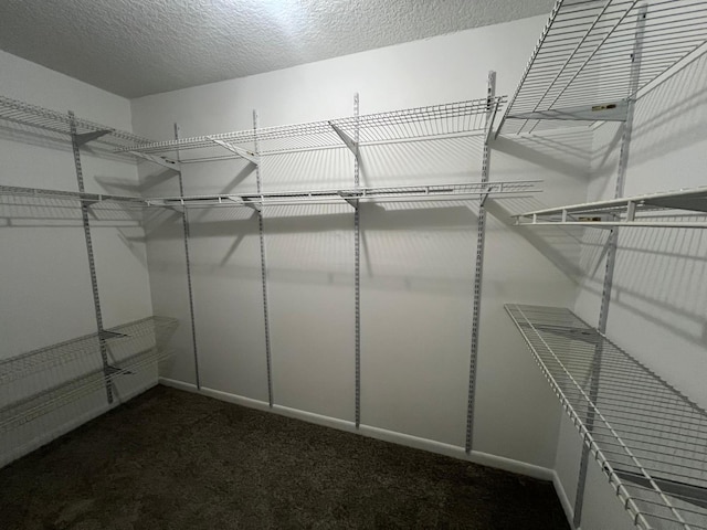 walk in closet featuring dark colored carpet