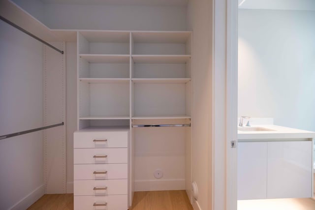 walk in closet featuring light hardwood / wood-style flooring and sink