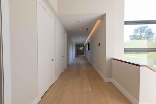 hall with a wealth of natural light and light wood-type flooring