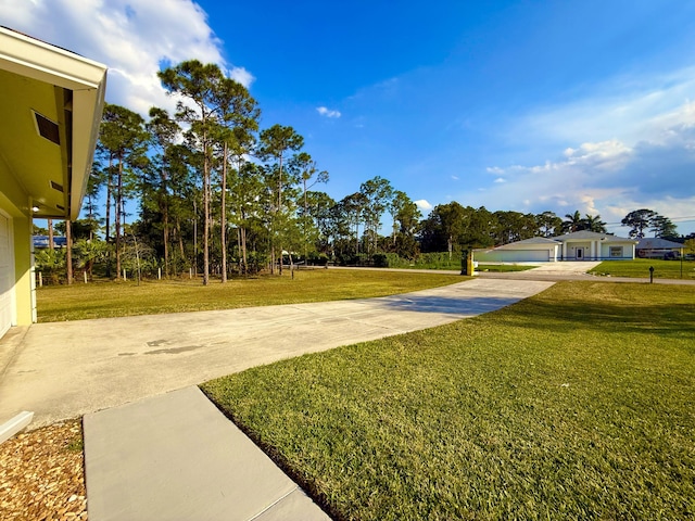 view of yard with concrete driveway