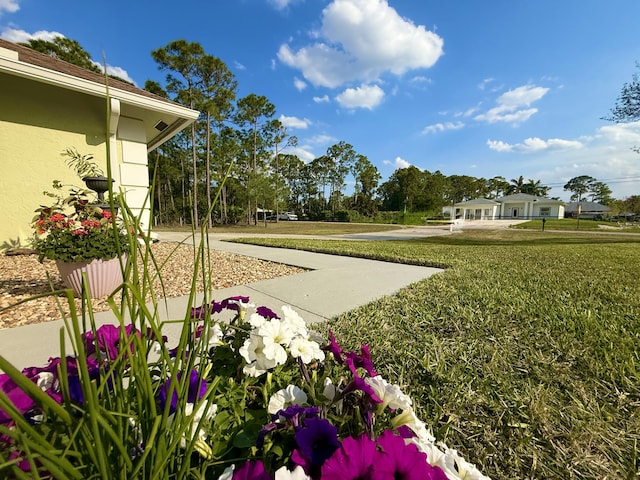 view of yard