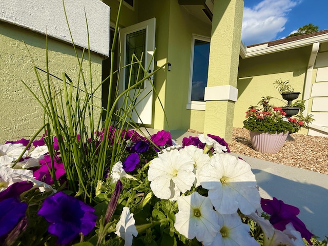 details featuring stucco siding