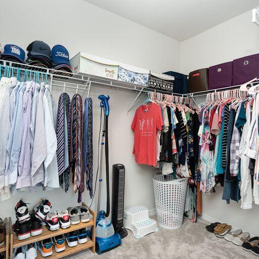 walk in closet with carpet flooring