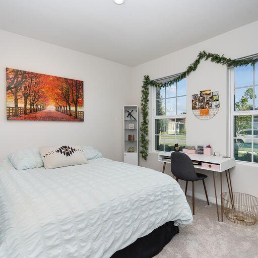 bedroom with light colored carpet and multiple windows