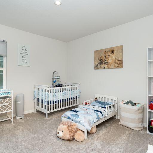 bedroom with carpet floors