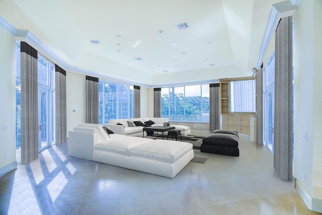 living room featuring a raised ceiling