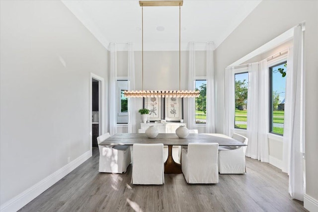 dining room with hardwood / wood-style flooring