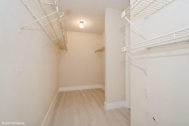 spacious closet with hardwood / wood-style flooring