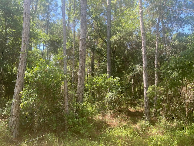 TBD NE 155th Ln, Fort Mccoy FL, 32134 land for sale