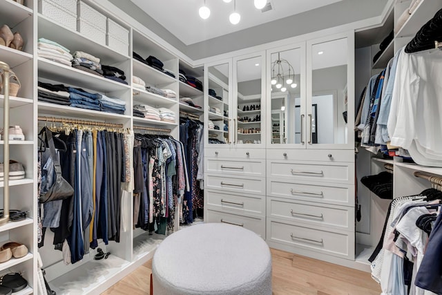 spacious closet with light hardwood / wood-style floors