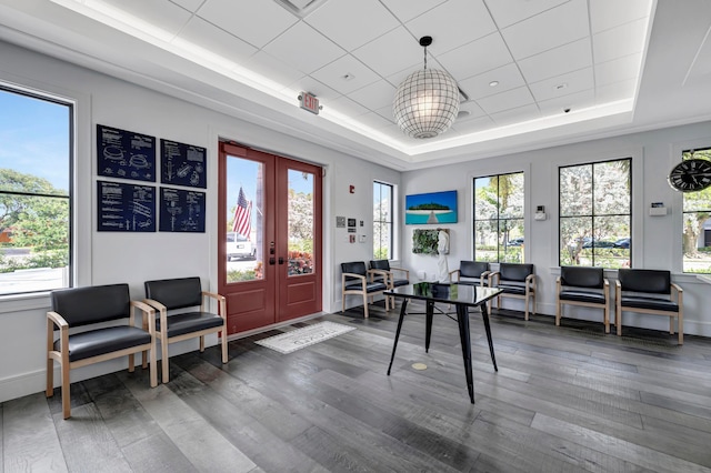 interior space featuring dark hardwood / wood-style floors, a tray ceiling, a paneled ceiling, and french doors