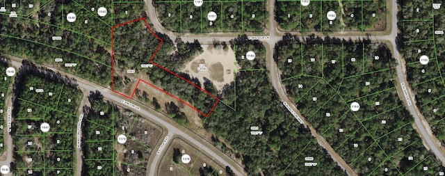 509 E Anton Dr, Citrus Springs FL, 34434 land for sale