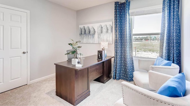 office area featuring light colored carpet