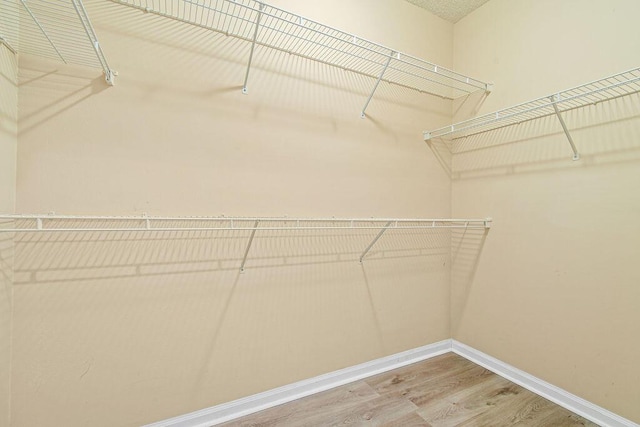 spacious closet with light hardwood / wood-style floors