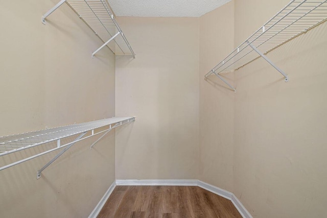 walk in closet with hardwood / wood-style floors