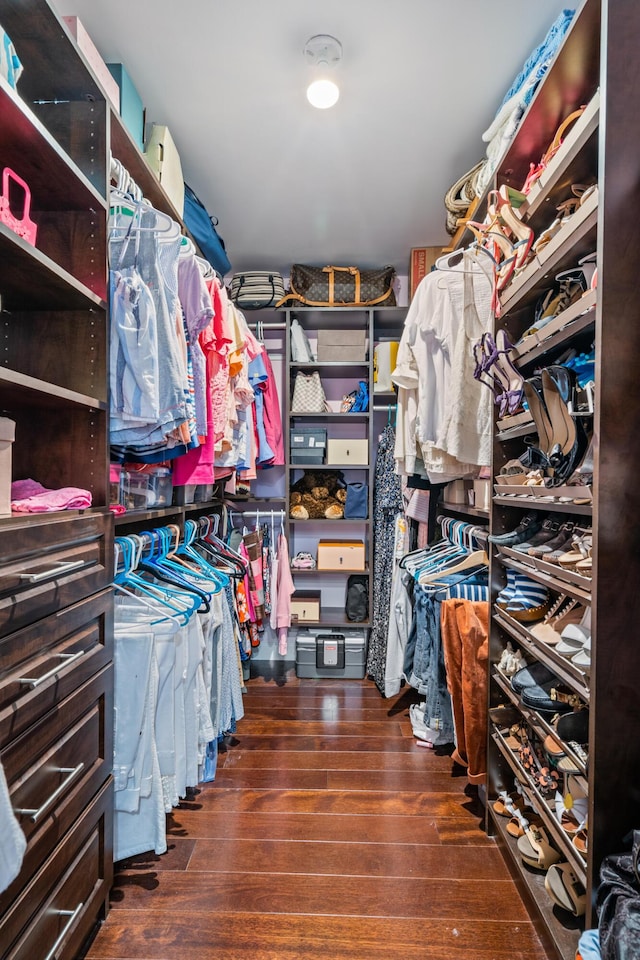 walk in closet featuring dark hardwood / wood-style floors