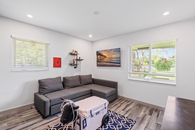 living room featuring light hardwood / wood-style flooring