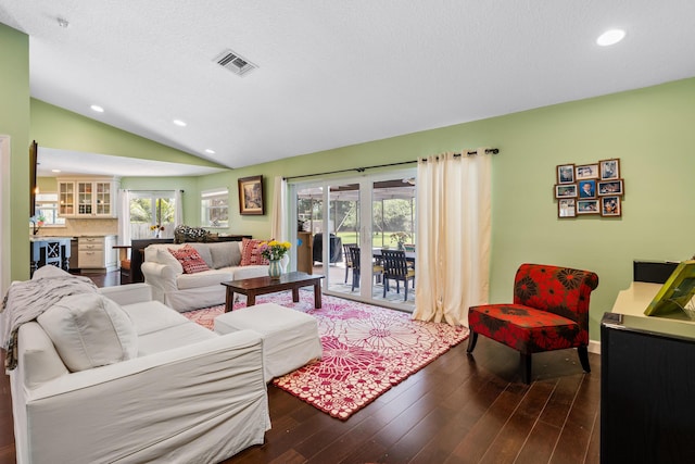 living room with lofted ceiling and dark hardwood / wood-style flooring